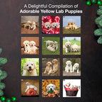 MICASA PRESS Yellow Lab Puppies 2026 Wall Calendar 12 Month | 12" x 24" Open | Thick & Sturdy Paper | Holiday Gift | Cute Labrador Retriever Puppy Dog Calendar 2026