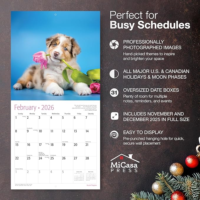 MICASA PRESS Aussie Puppies Australian Shepherds 2026 Wall Calendar 12 Month | 12" x 24" Open | Thick & Sturdy Paper | Holiday Gift | Cute Puppy Dog Calendar 2026