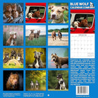 2026 Pit Bulls Monthly Wall Calendar | Pitbull Dog Calendar September 2025 - December 2026