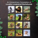 MICASA PRESS Longhaired Dachshunds 2026 Wall Calendar 12 Month | 12" x 24" Open | Thick & Sturdy Paper | Holiday Gift | Cute Puppy Weiner Dog Calendar 2026