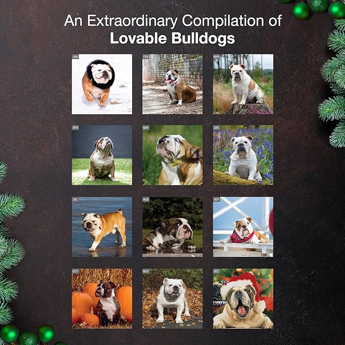 MICASA PRESS Bulldogs 2026 Wall Calendar 12 Month | 12" x 24" Open | Thick & Sturdy Paper | Holiday Gift | Cute Puppy Dog Calendar 2026