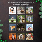 MICASA PRESS Bulldogs 2026 Wall Calendar 12 Month | 12" x 24" Open | Thick & Sturdy Paper | Holiday Gift | Cute Puppy Dog Calendar 2026