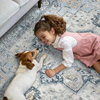 GENIMO 5x8 Area Rugs for Living Room, Machine Washable Low Pile Rugs, Chenille Non Slip Vintage Rug for Bedroom, Dining Room, Home Office, Blue