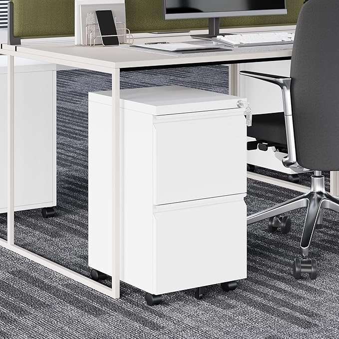 Fesbos 2 Drawer Vertical File Cabinet - Mobile Filling Cabinet with Lock for Legal/Letter Files - Office Storage File Cabinet with Wheels Under Desk - Assembly Required