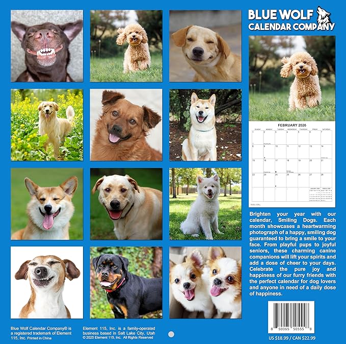 2026 Smiling Dogs Monthly Wall Calendar | Funny Happy Dogs Calendar September 2025 - December 2026