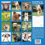 2026 Smiling Dogs Monthly Wall Calendar | Funny Happy Dogs Calendar September 2025 - December 2026