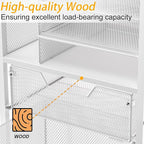 Feyejade Rolling File Cart with 2 Drawers, White File Cabinet Organizer for Hanging File Folders, Letter-Size File Storage with Wheels, Multi-Layer Mobile Filing Cabinet for Office and Home, White