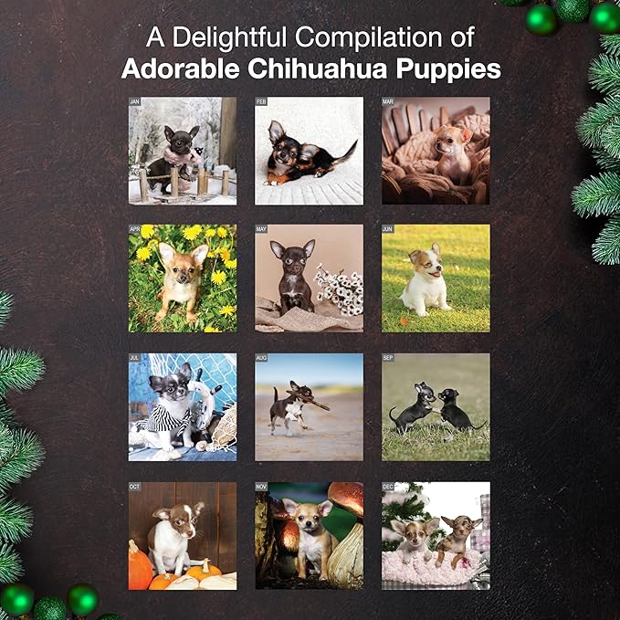 MICASA PRESS Chihuahua Puppies 2026 Wall Calendar 12 Month | 12" x 24" Open | Thick & Sturdy Paper | Holiday Gift | Cute Puppy Dog Calendar 2026