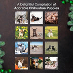 MICASA PRESS Chihuahua Puppies 2026 Wall Calendar 12 Month | 12" x 24" Open | Thick & Sturdy Paper | Holiday Gift | Cute Puppy Dog Calendar 2026