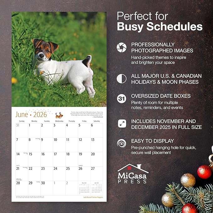 MICASA PRESS Jack Russell Terrier Puppies 2026 Wall Calendar 12 Month | 12" x 24" Open | Thick & Sturdy Paper | Holiday Gift | Cute Puppy Dog Calendar 2026