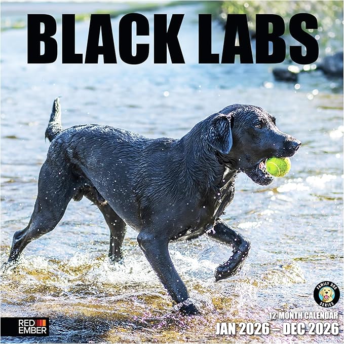 RED EMBER Black Labs 2026 Wall Calendar 12 Month | 12" x 24" Open | Thick & Sturdy Paper | Holiday Gift | Cute Labrador Retriever Puppy Dog Calendar 2026