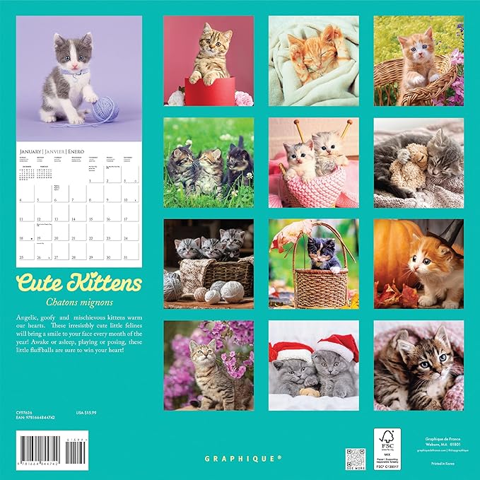 Graphique 2026 Cute Kittens Wall Calendar | 12” x 12” | Thick Paper | Home & Office Organizer | Large Monthly Grid | 3 Languages & Marked Holidays | 4 Month Preview Page for 2027