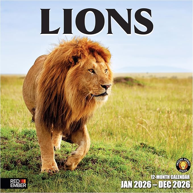 RED EMBER Lions 2026 Wall Calendar 12 Month | 12" x 24" Open | Thick & Sturdy Paper | Holiday Gift | Big Cats Animal Calendar 2026
