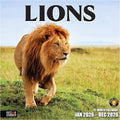 RED EMBER Lions 2026 Wall Calendar 12 Month | 12" x 24" Open | Thick & Sturdy Paper | Holiday Gift | Big Cats Animal Calendar 2026