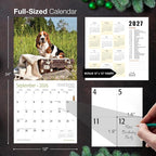 MICASA PRESS Basset Hound Puppies 2026 Wall Calendar 12 Month | 12" x 24" Open | Thick & Sturdy Paper | Holiday Gift | Cute Puppy Dog Calendar 2026