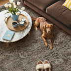 GENIMO 9x12 Area Rug Machine Washable Boho Rug for Living Room,Ultra-Thin Low Pile Carpet,Lightweight Indoor Printed Rug,Non Slip Floral Area Rug for Bedroom, Dining Room, Home Office,Brownish Green