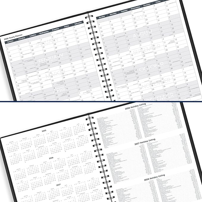 AT-A-GLANCE 2026 Appointment Book Planner, Daily, 8-1/2" x 11", Large, Eight Person Group, Two-Volume Set, Black (702120526)