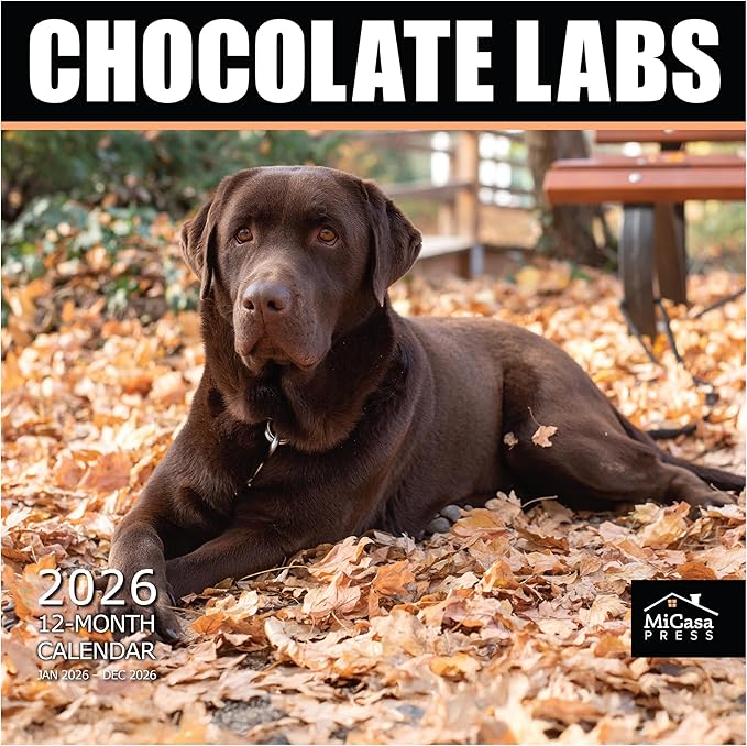 MICASA PRESS Chocolate Labs 2026 Wall Calendar 12 Month | 12" x 24" Open | Thick & Sturdy Paper | Holiday Gift | Cute Labrador Retriever Puppy Dog Calendar 2026