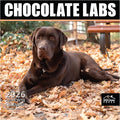MICASA PRESS Chocolate Labs 2026 Wall Calendar 12 Month | 12" x 24" Open | Thick & Sturdy Paper | Holiday Gift | Cute Labrador Retriever Puppy Dog Calendar 2026