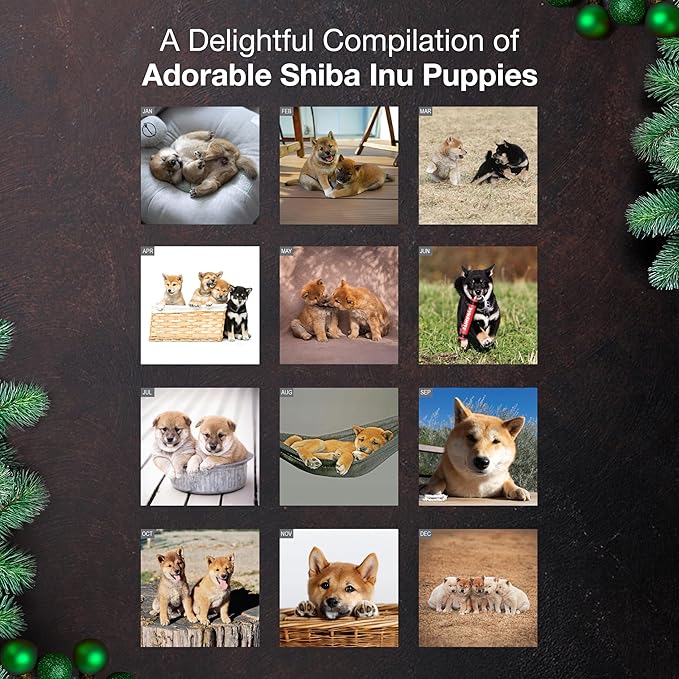MICASA PRESS Shiba Inu Puppies 2026 Wall Calendar 12 Month | 12" x 24" Open | Thick & Sturdy Paper | Holiday Gift | Cute Puppy Dog Calendar 2026