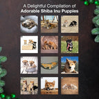 MICASA PRESS Shiba Inu Puppies 2026 Wall Calendar 12 Month | 12" x 24" Open | Thick & Sturdy Paper | Holiday Gift | Cute Puppy Dog Calendar 2026
