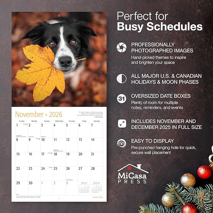 MICASA PRESS Border Collies 2026 Wall Calendar 12 Month | 12" x 24" Open | Thick & Sturdy Paper | Holiday Gift | Cute Puppy Dog Calendar 2026