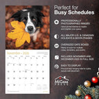 MICASA PRESS Border Collies 2026 Wall Calendar 12 Month | 12" x 24" Open | Thick & Sturdy Paper | Holiday Gift | Cute Puppy Dog Calendar 2026