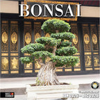 RED EMBER Bonsai 2026 Wall Calendar 12 Month | 12" x 24" Open | Thick & Sturdy Paper | Holiday Gift | Nature Calendar 2026