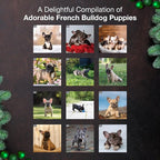 MICASA PRESS French Bulldog Puppies 2026 Wall Calendar 12 Month | 12" x 24" Open | Thick & Sturdy Paper | Holiday Gift | Cute Frenchie Puppy Dog Calendar 2026