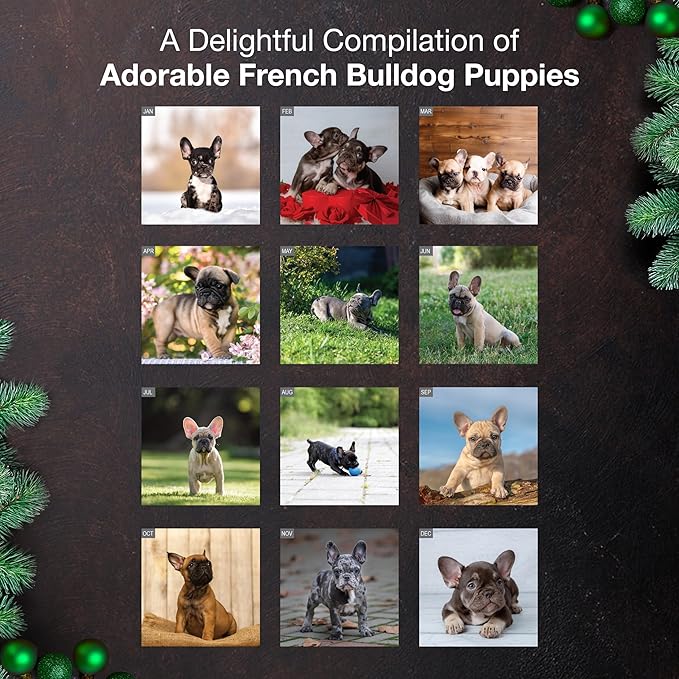 MICASA PRESS French Bulldog Puppies 2026 Wall Calendar 12 Month | 12" x 24" Open | Thick & Sturdy Paper | Holiday Gift | Cute Frenchie Puppy Dog Calendar 2026