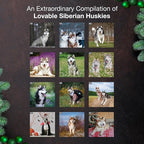 MICASA PRESS Siberian Huskies 2026 Wall Calendar 12 Month | 12" x 24" Open | Thick & Sturdy Paper | Holiday Gift | Cute Puppy Dog Calendar 2026