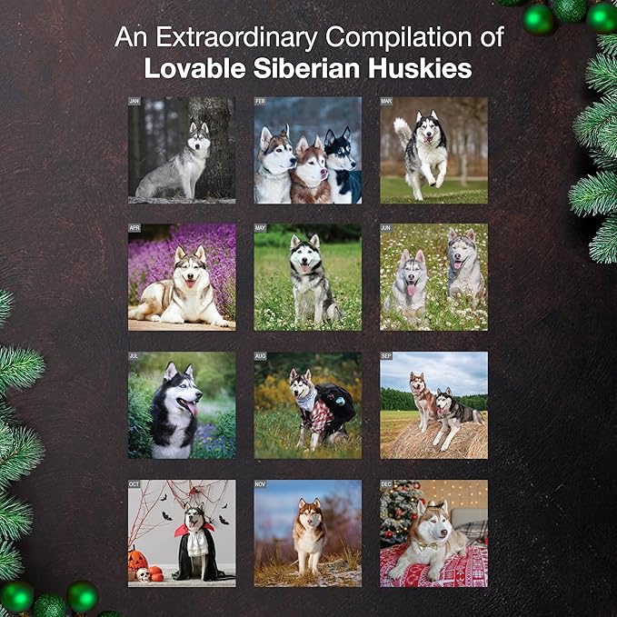 MICASA PRESS Siberian Huskies 2026 Wall Calendar 12 Month | 12" x 24" Open | Thick & Sturdy Paper | Holiday Gift | Cute Puppy Dog Calendar 2026
