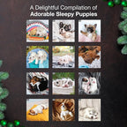 MICASA PRESS Pooped Puppies 2026 Wall Calendar 12 Month | 12" x 24" Open | Thick & Sturdy Paper | Holiday Gift | Cute Funny Puppy Dog Calendar 2026