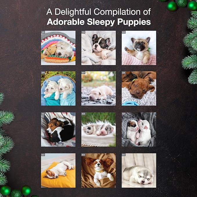MICASA PRESS Pooped Puppies 2026 Wall Calendar 12 Month | 12" x 24" Open | Thick & Sturdy Paper | Holiday Gift | Cute Funny Puppy Dog Calendar 2026