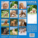 2026 Goldendoodles Monthly Wall Calendar | Cute Dog Calendar September 2025 - December 2026