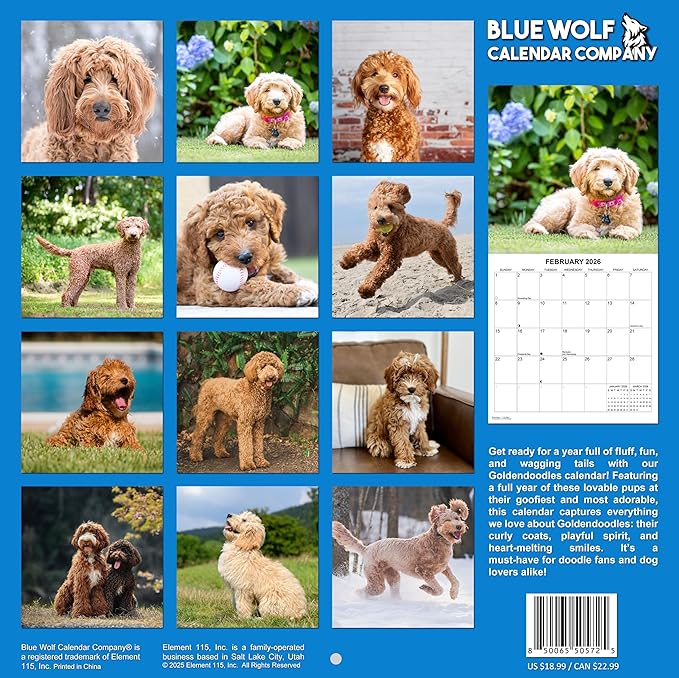 2026 Goldendoodles Monthly Wall Calendar | Cute Dog Calendar September 2025 - December 2026