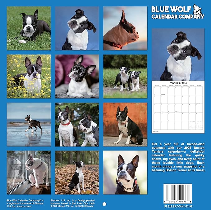 2026 Boston Terriers Monthly Wall Calendar | Dog Calendar September 2025- December 2026