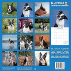 2026 Boston Terriers Monthly Wall Calendar | Dog Calendar September 2025- December 2026