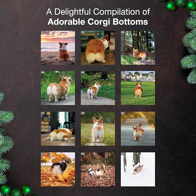 MICASA PRESS Corgi Butts 2026 Wall Calendar 12 Month | 12" x 24" Open | Thick & Sturdy Paper | Holiday Gift | Cute Puppy Funny Dog Calendar 2026
