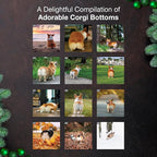 MICASA PRESS Corgi Butts 2026 Wall Calendar 12 Month | 12" x 24" Open | Thick & Sturdy Paper | Holiday Gift | Cute Puppy Funny Dog Calendar 2026