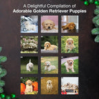 MICASA PRESS Golden Retriever Puppies 2026 Wall Calendar 12 Month | 12" x 24" Open | Thick & Sturdy Paper | Holiday Gift | Cute Puppy Dog Calendar 2026