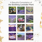 RED EMBER Lavender 2026 Wall Calendar 12 Month | 12" x 24" Open | Thick & Sturdy Paper | Holiday Gift | Nature Calendar 2026