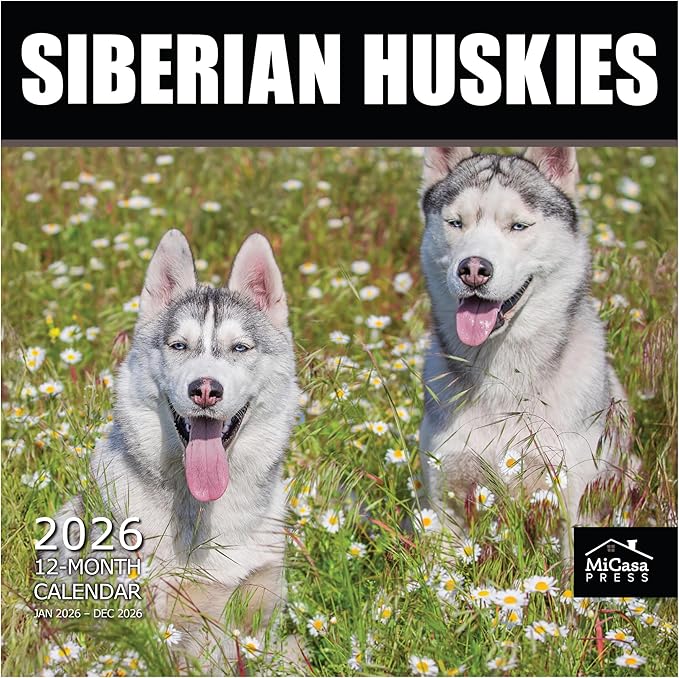 MICASA PRESS Siberian Huskies 2026 Wall Calendar 12 Month | 12" x 24" Open | Thick & Sturdy Paper | Holiday Gift | Cute Puppy Dog Calendar 2026