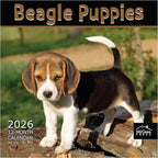 MICASA PRESS Beagle Puppies 2026 Wall Calendar 12 Month | 12" x 24" Open | Thick & Sturdy Paper | Holiday Gift | Cute Puppy Dog Calendar 2026