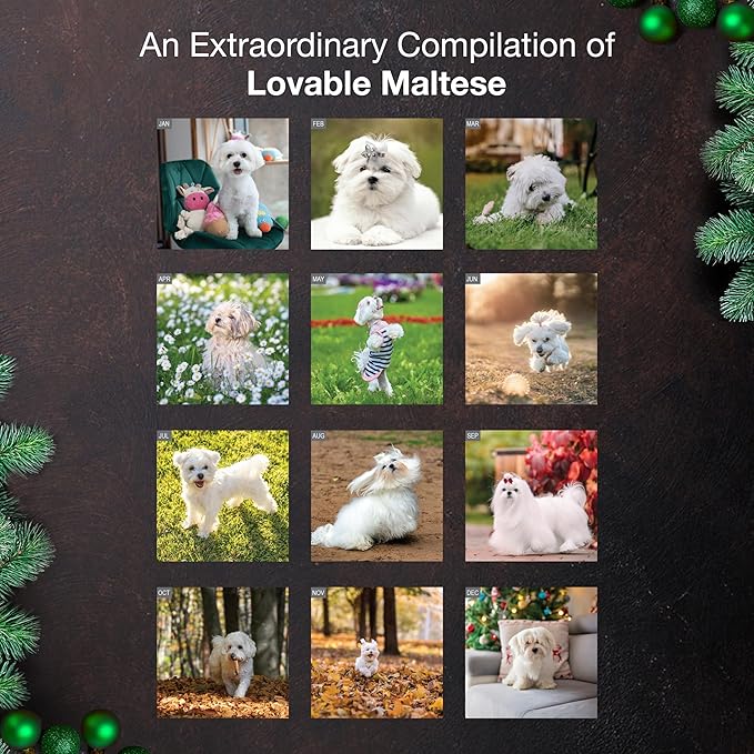 MICASA PRESS Maltese 2026 Wall Calendar 12 Month | 12" x 24" Open | Thick & Sturdy Paper | Holiday Gift | Cute Puppy Dog Calendar 2026