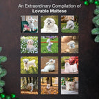 MICASA PRESS Maltese 2026 Wall Calendar 12 Month | 12" x 24" Open | Thick & Sturdy Paper | Holiday Gift | Cute Puppy Dog Calendar 2026