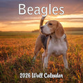 2026 Beagles Monthly Wall Calendar | Cute Dog Calendar September 2025 - December 2026