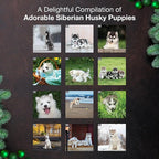 MICASA PRESS Siberian Husky Puppies 2026 Wall Calendar 12 Month | 12" x 24" Open | Thick & Sturdy Paper | Holiday Gift | Cute Puppy Dog Calendar 2026