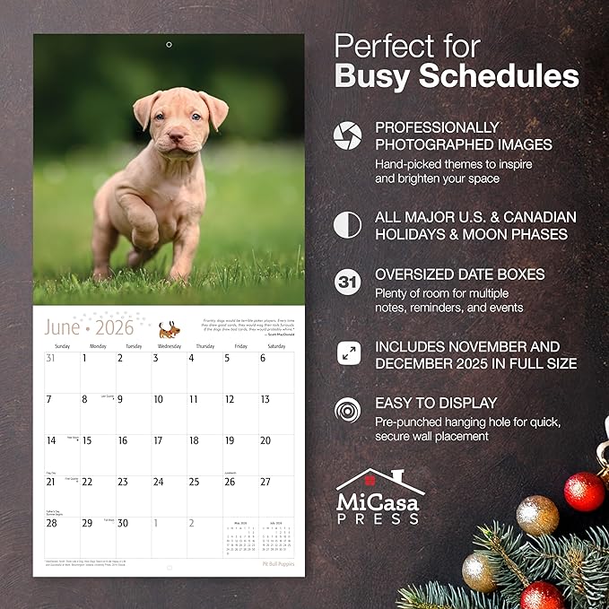 MICASA PRESS Pit Bull Puppies 2026 Wall Calendar 12 Month | 12" x 24" Open | Thick & Sturdy Paper | Holiday Gift | Cute Puppy Dog Calendar 2026