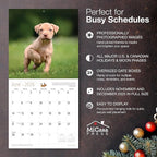 MICASA PRESS Pit Bull Puppies 2026 Wall Calendar 12 Month | 12" x 24" Open | Thick & Sturdy Paper | Holiday Gift | Cute Puppy Dog Calendar 2026